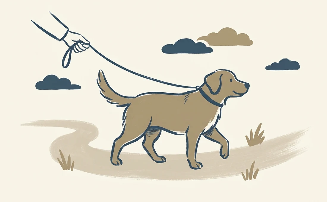 Two-tone illustration of a dog being walked on a leash along a path